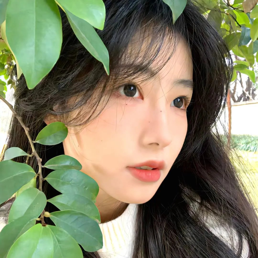 失去的国度